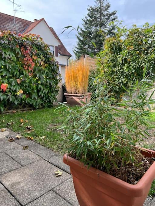 Tobi's Ferienapartment Gottmadingen